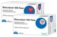 Вальпроат 500-Тева 500 мг N100 таблетки