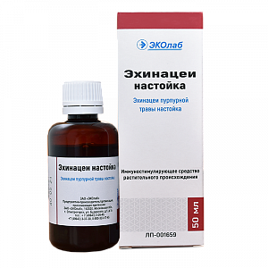 Эхинацея настойка 50 мл